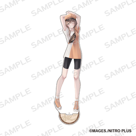 STEINSGATE BIGե奢 뱩 