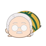 SAMPLE1
