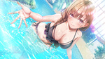 SAMPLE4