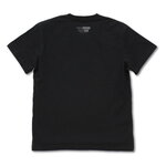 SAMPLE1