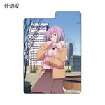 SAMPLE2