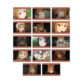 ϵȹ MERCHANT MEETS THE WISE WOLF ȥ졼ǥ ۥ ̼̥륫 vol.21BOX 