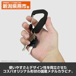 SAMPLE1