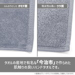 SAMPLE4