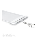 SAMPLE1