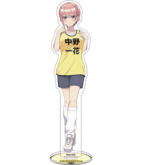 ʬβֲǡ 륹  