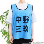 SAMPLE1