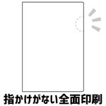 SAMPLE1