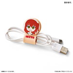 SAMPLE1