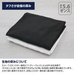 SAMPLE2