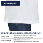SAMPLE4