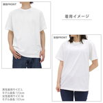SAMPLE1