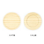 SAMPLE4