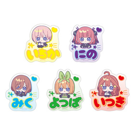 ʬβֲǡ ̾Хå쥯 ߤˤԤ󤺡1BOX 
