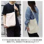 SAMPLE1