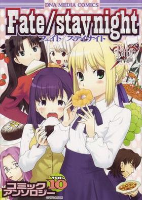Fate/stay nightߥå󥽥Vol.10 DNAǥߥå