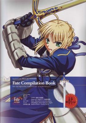 Fate Compilation Book 