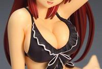 IMG1