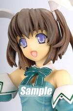 SAMPLE1