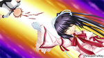 SAMPLE4