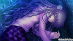 SAMPLE5