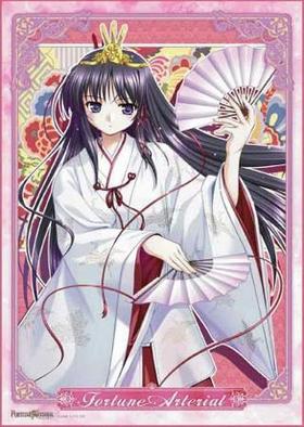 FORTUNE ARTERIAL B  