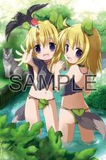 SAMPLE2