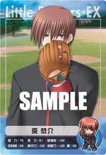 SAMPLE2