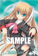 SAMPLE3