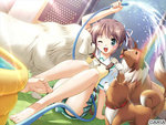 SAMPLE4