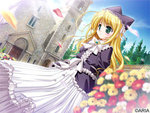 SAMPLE5
