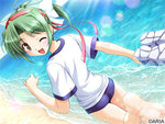 SAMPLE6