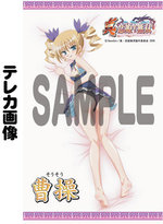 SAMPLE1
