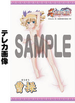 SAMPLE2