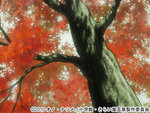 SAMPLE7