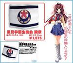SAMPLE1