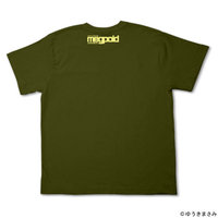 IMG1