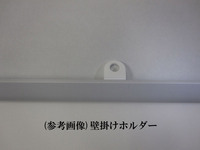 IMG1
