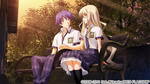 SAMPLE2