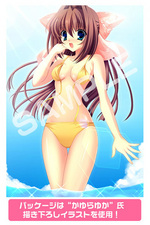 SAMPLE6
