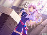 SAMPLE3