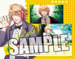 SAMPLE3
