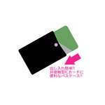 SAMPLE2