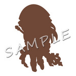 SAMPLE8