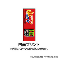 IMG1