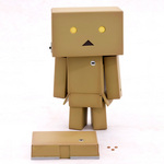 SAMPLE8