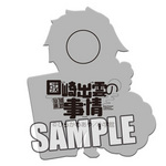 SAMPLE4