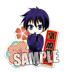 SAMPLE3