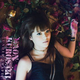 TV˥ 󥬥 PERFECT ORDER OPơޡUNDER/SHAFT[DVDս]꿿 