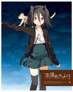 ȥ祳졼 4 Blu-ray Disc 㴰ǡ 
